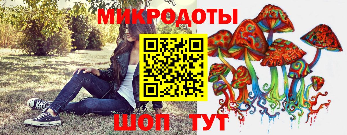 Борисоглебск  Псилоцибиновые грибы Psilocybine cubensis  Вход с VPN 